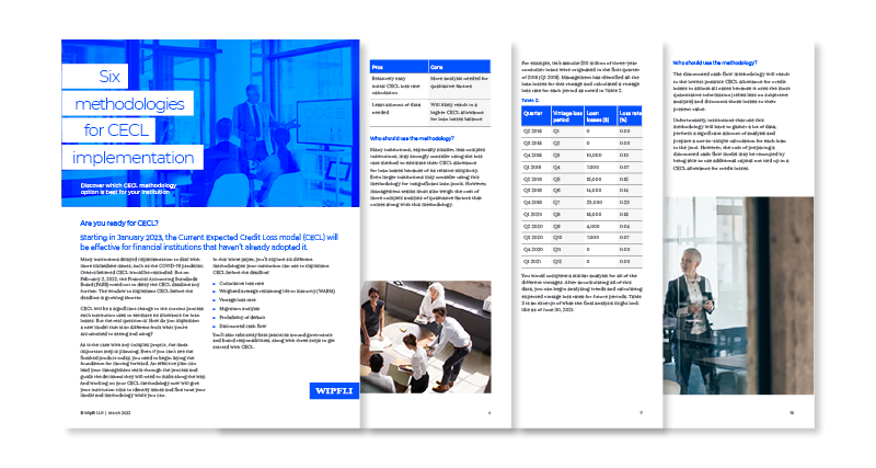 White paper: Six methodologies for CECL implementation